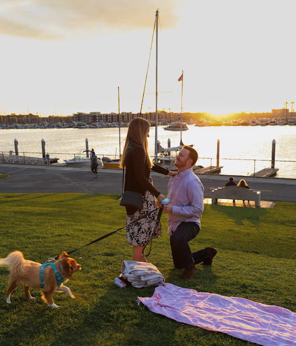 Sunset Proposal